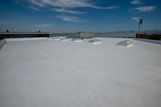 Best Storm Damage Roof Repair  in Manning, SC