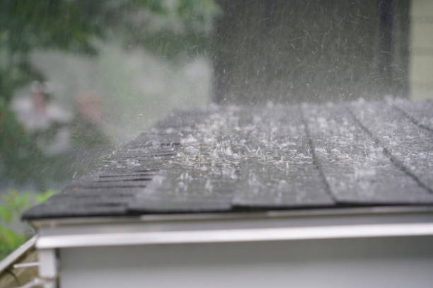Best Roof Coating Services  in Manning, SC